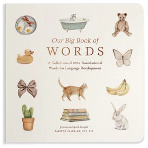 Our Big Book of Words - Paige Tate & Co
