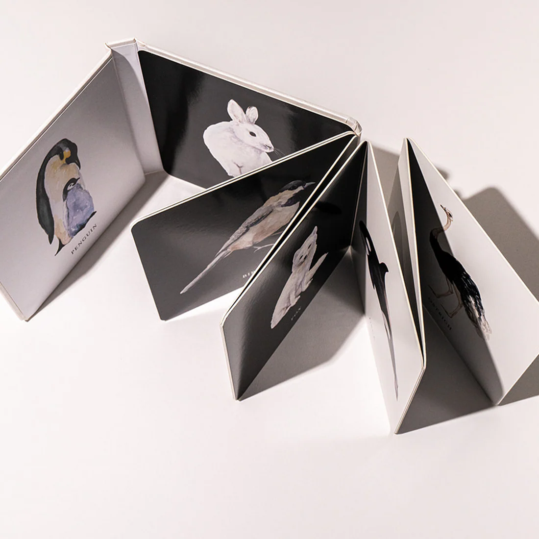 Baby's Black & White Contrast Book - Paige Tate & Co - Image 4