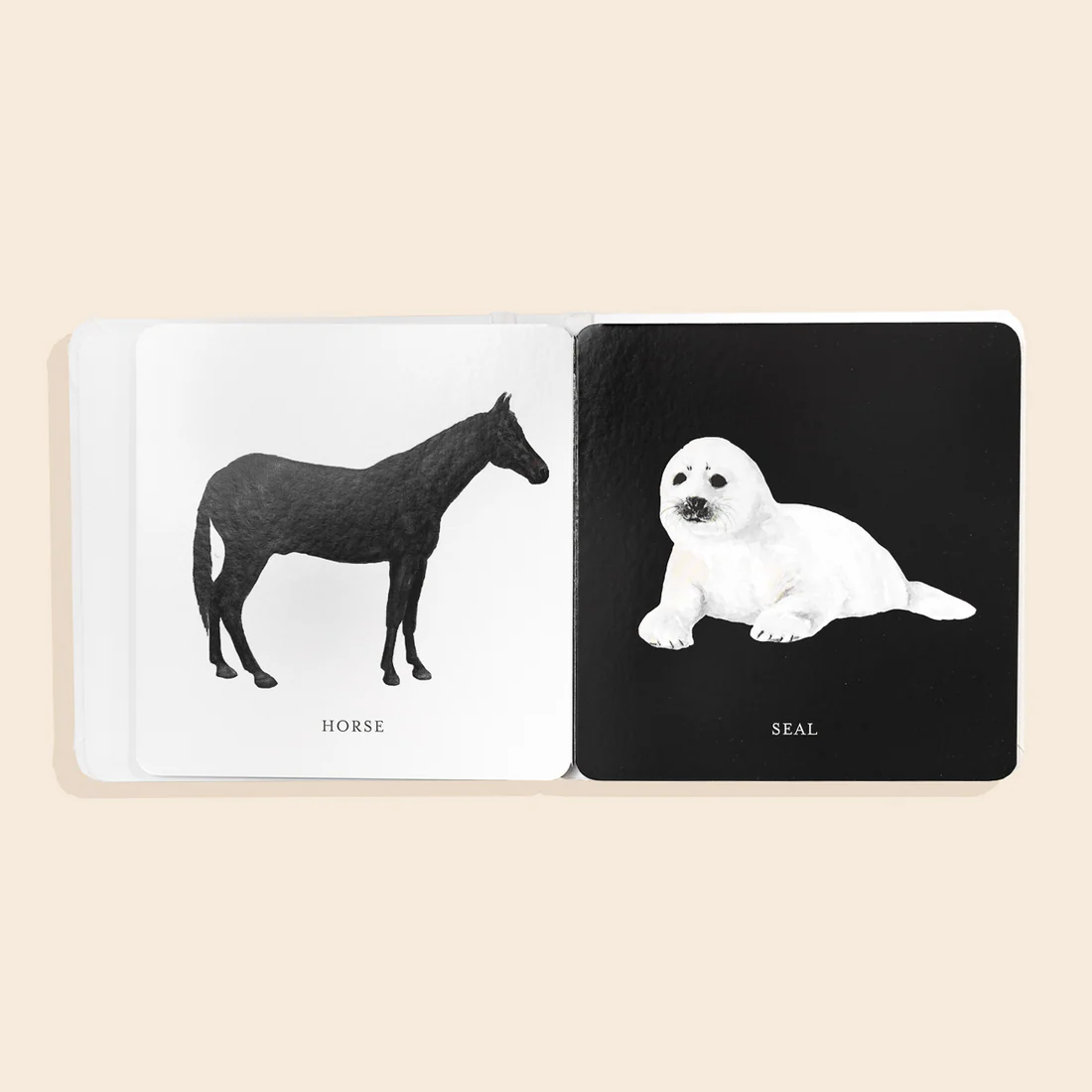 Baby's Black & White Contrast Book - Paige Tate & Co - Image 3