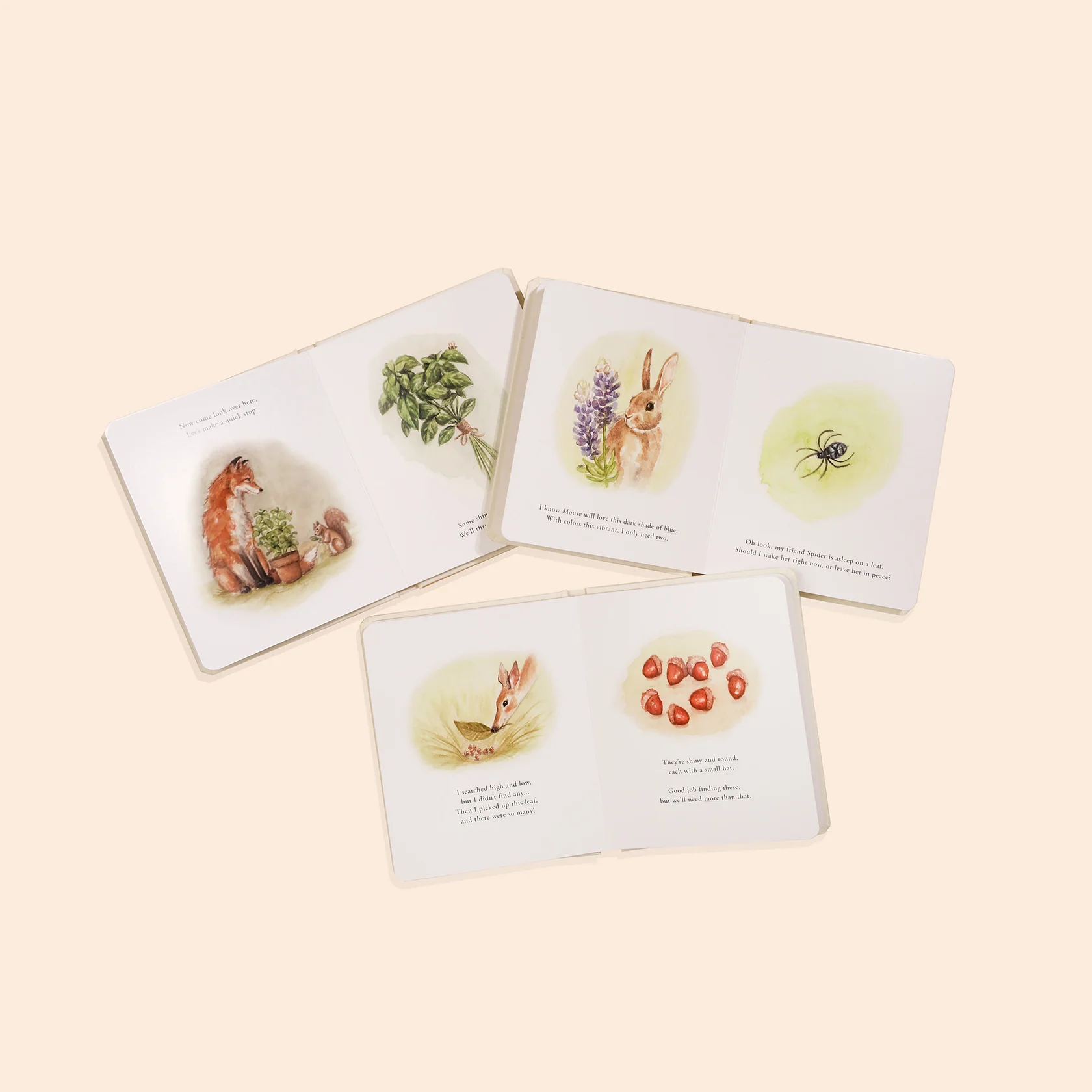 Our Little Adventures Book Set - Paige Tate & Co - Image 3