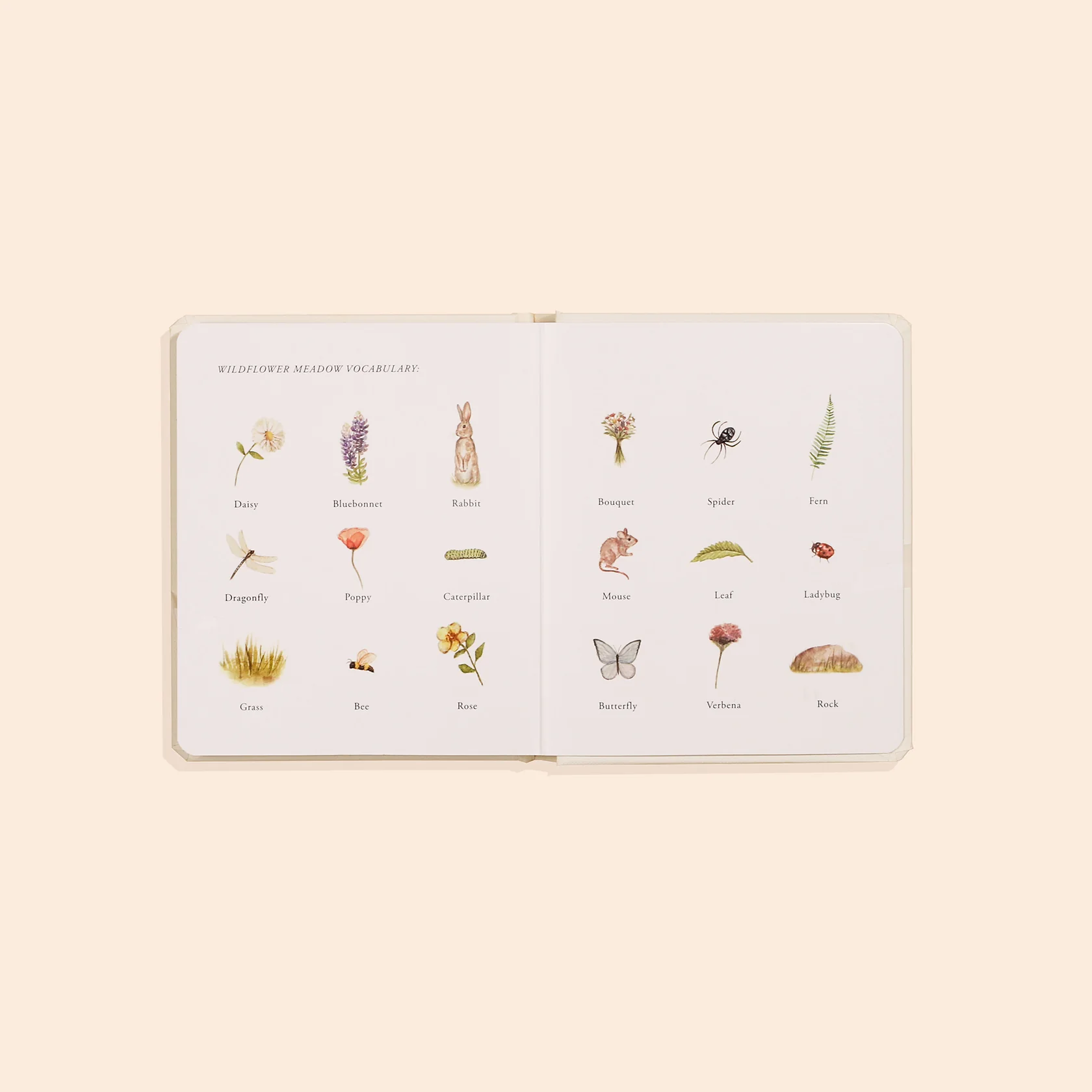 Our Little Adventures Book Set - Paige Tate & Co - Image 4