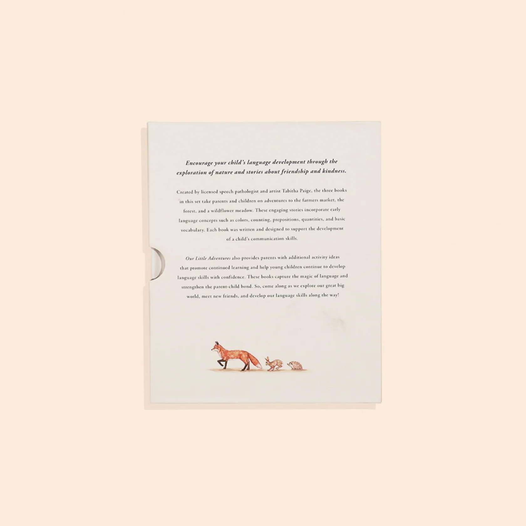 Our Little Adventures Book Set - Paige Tate & Co - Image 5